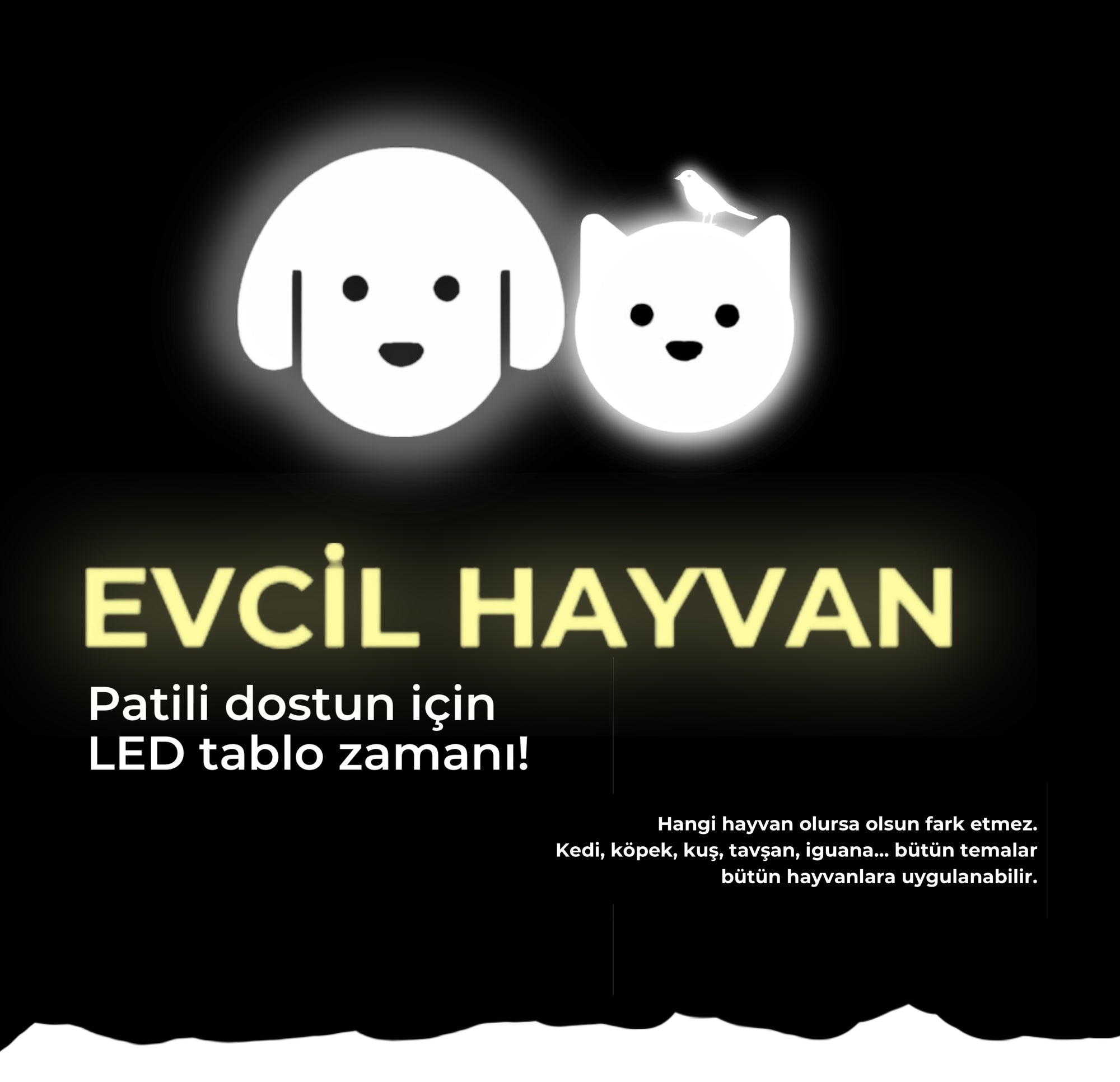 Evcil Hayvan