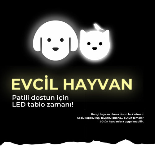 Evcil Hayvan
